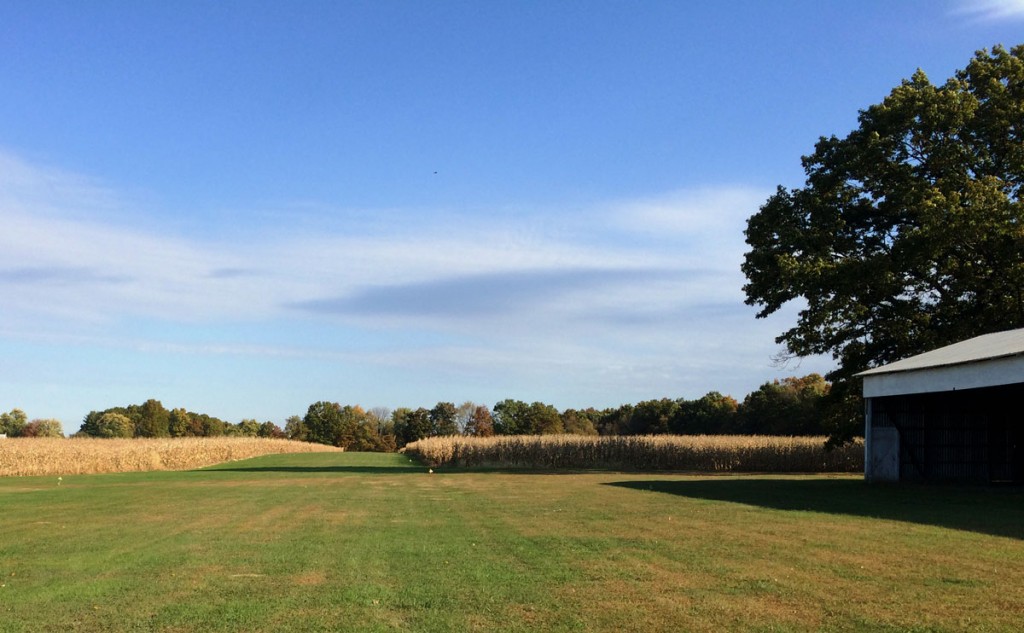 grass airstrip amidst corn field