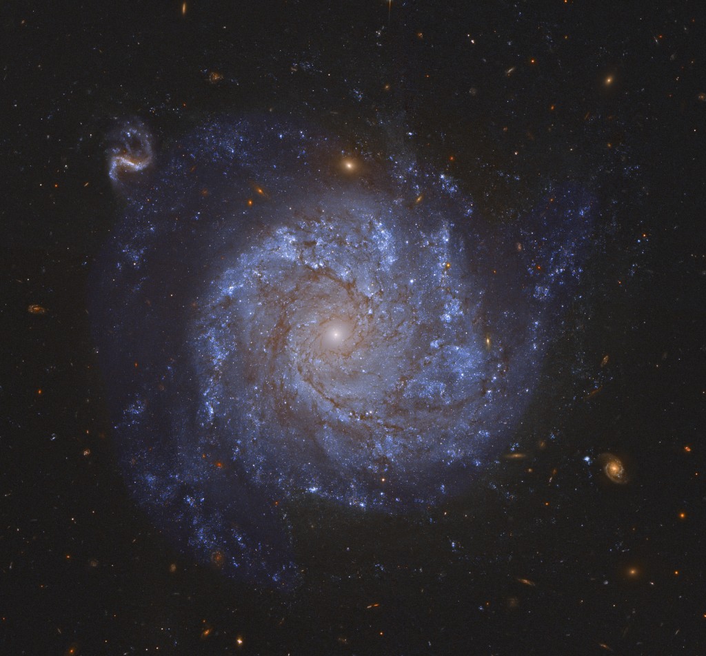 Spiral galaxy seen face-on