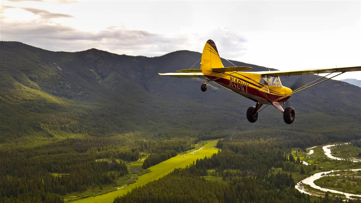 Look Before You Land