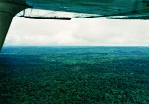 Aerial view of Amazon Jungle beneath aircraft wing