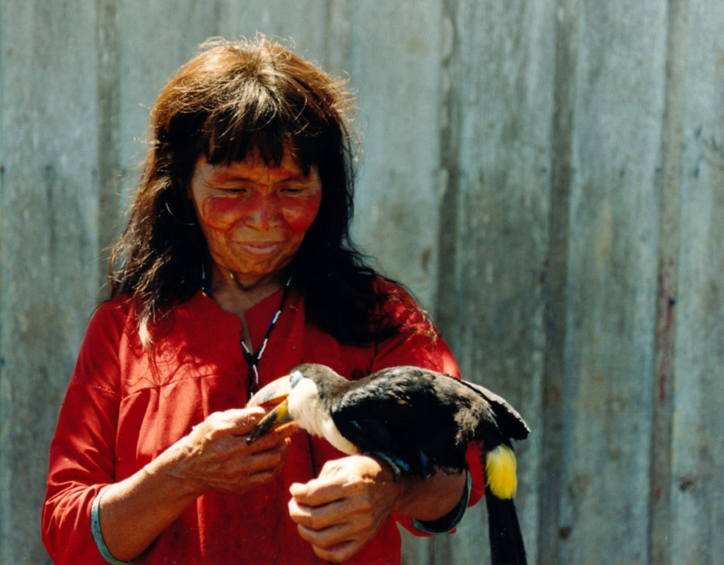 Shuar woman with pet toucan